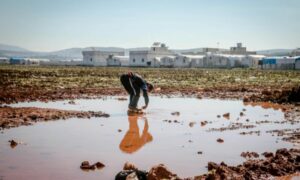 Conoce cuáles son las causas y consecuencias de la migración